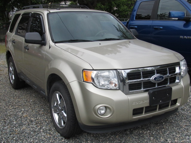 2011 Ford Escape XLT FWD SUV | By Pass Auto Sales